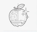 Polizare, decojire și curățare — ilustrație a categoriei de aplicație UNI-MASZ